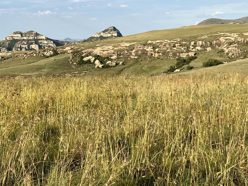 0 Bedroom Property for Sale in Fouriesburg Free State